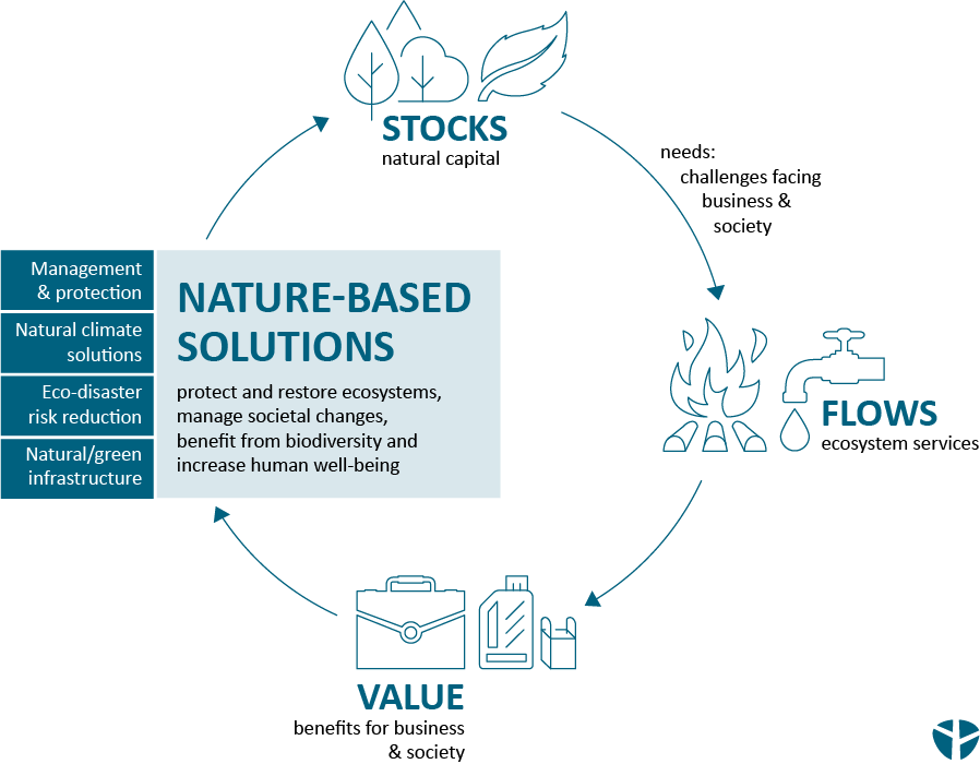 Sustainability accounting relies on nature-based solutions and its value for companies
