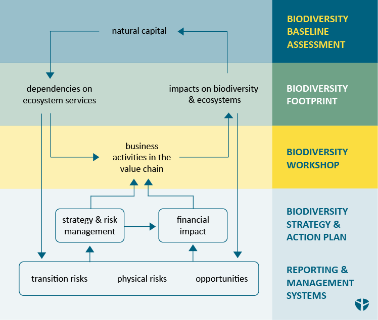 EY denkstatt offers support in biodiversity strategies for businesses